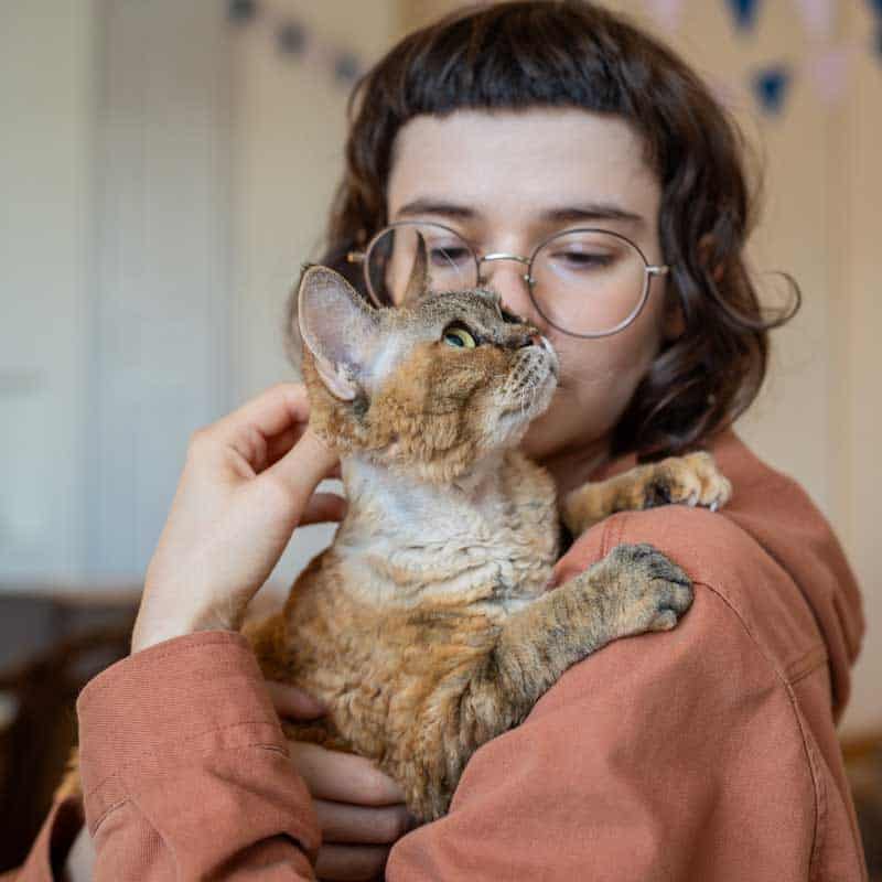 A cat with their human