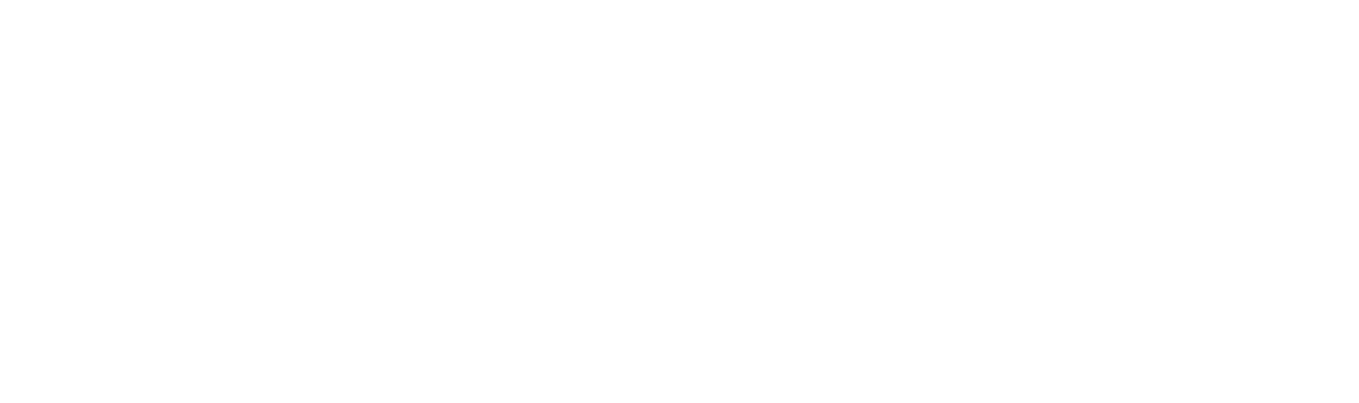 Pets Now Urgent Care Logo